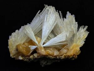Scolecite blow Spray on stilbite bleads formation mineral specimen - Picture 1 of 5