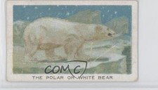1925 Wills Birds Beasts and Fishes Tobacco The Polar or White Bear #20 0f8
