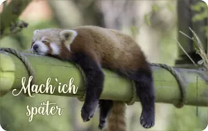 Frühstücksbrettchen Mach ich später - lustige Sprüche-Brettchen Geschenke-Brett - Bild 1 von 1