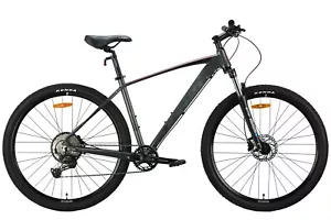 Mountainbike Hardtail MTB 29" Aluminium Scheibenbremsen Graphit RH 48 cm Fahrrad - Bild 1 von 3