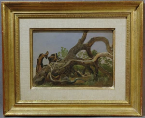 Árboles de pintura americana paisaje del río Mississippi antiguo Charles Wimar - Imagen 1 de 12