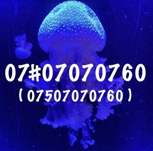 Cherished Sim Card Phone Number Easy To Remember Hard To Find Repeater No. - Zdjęcie 1 z 3