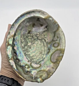 Large Colorful Natural Abalone Shell Smudge Bowl Trinket Soap Dish 6.5" x 5" - Picture 1 of 10