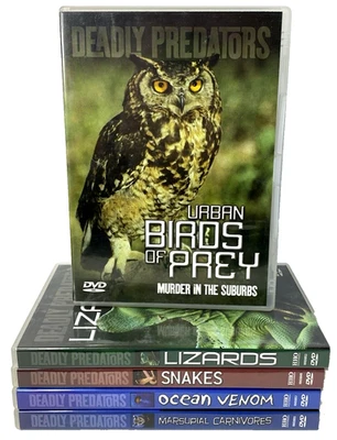 Deadly Predators DVD Lot x5 : Urban Birds of Prey Lizards Snakes (Region Free) - Image 1 of 4