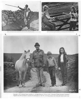 Run Wild, Run Free (1969 & 1971RR) 3 Still Lot (John Mills, Mark Lester) - Image 1 of 4