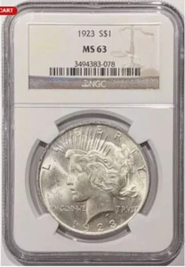 1923-P | DOLLARO ARGENTO PACE | NGC MS63 | BIANCO ESPLOSIVO | AAA+ - Foto 1 di 2