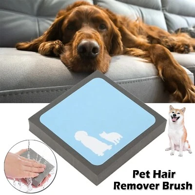 Pet Hair Remover Brush Reusable Dog Cat Pet Fur Remover Lint Catcher Sofa Floor - image 1 of 4