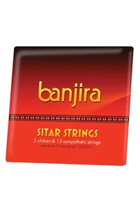 PROFESSIONAL STANDARD CHIKARI & SYMPATHETIC SITAR FULL STRINGS SET by Banjira - Picture 1 of 1