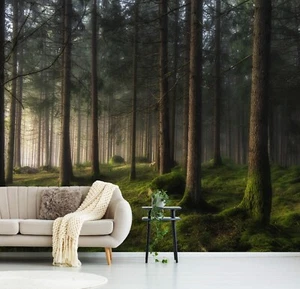 Foto Wandbild-WALDNEBEL- (6858)-VLIES-Tapete-Waldbaum nebel XXL - Bild 1 von 6