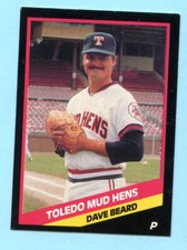 1988 CMC - Mud Hens Inter. League -  Toledo Mud Hens -Dave Beard- Box 198