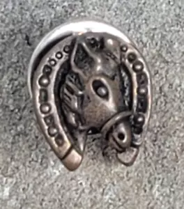 Horse and Horseshoe Equestrian Mini Souvenir Vintage Lapel Hat Pin - Picture 1 of 4