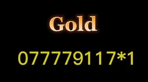 GOLD EASY VIP MEMORABLE MOBILE PHONE NUMBER DIAMOND PLATINUM SIM CARD EE - Zdjęcie 1 z 1