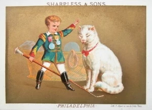 c1880 Trade Card JUNGE General TAMES BIG CAT Victorian KITTEN 19th C Philadelphia - Bild 1 von 6