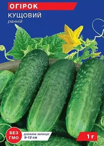 Gurke Samen Buschgurke Einlegegurke Огурец кустовой Семена  77 - Bild 1 von 3