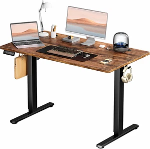 Standing Desk, Adjustable Height Electric Sit Stand up down Computer Table, 48X2 - Picture 1 of 7