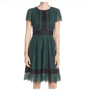 Eliza J Hunter Green/Black Lace Knee-Length Dress SZ 8 - Picture 1 of 4