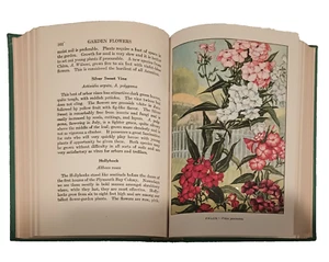 The Nature Library Wild Flowers by Neltje Blanchan 1926 Hardcover Asa Dickinson - Picture 1 of 7