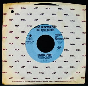 BRUSSEL SPROUT: High In The Rockies~An Obscure Rock Funk Promo 45~MCA #40503 - Picture 1 of 2