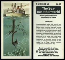 Dancing Fish #36 The Sea Our Other World 1974 Brooke Bond Tea Card