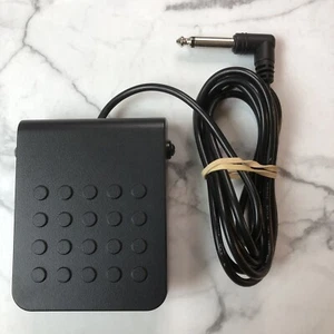 Casio SP-3 Sustain Fußpedal für Digitalpiano & Keyboard Original OEM - Bild 1 von 7