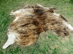 MAKE OFFER ! Large BRINDLE CARAMEL Cowhide Rug natural Cowhides Cow Hide Skin RC - Picture 1 of 7