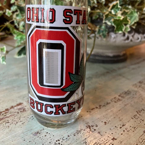 Vintage Ohio State Buckeyes Drinking Glass 1990 - 1991 Big Ten Champs Basketball Cover