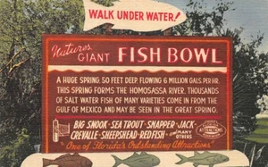 Curt Teich Homosassa Springs FL Fish Bowl Sign Linen Postcard - Picture 1 of 2