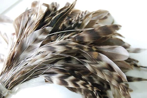 30 Piezas Chinchilla Natural FRANJA COQUE QUEMADA 8-12" Alto Plumas Artesanía Hágalo Usted Mismo - Imagen 1 de 5