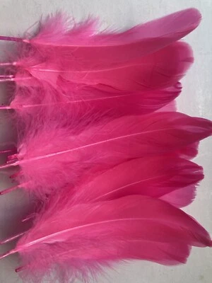 Pink Color Goose Feathers 20Pcs 5-7 Inch Bulk Feathers for Cr - Image 1 of 4