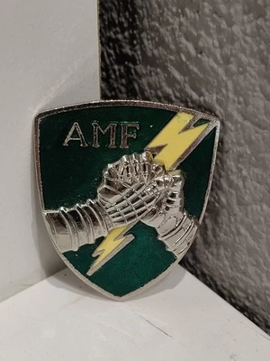 DISTINTIVO AMF BRIGATA ALPINA TAURINENSE SPILLA - Immagine 1 di 3