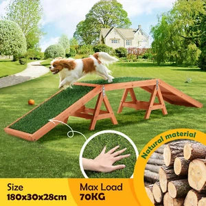 Petscene Dog Agility Training Ramp Puppy Obedience Sports Obstacle Exercise Play - Picture 1 of 11