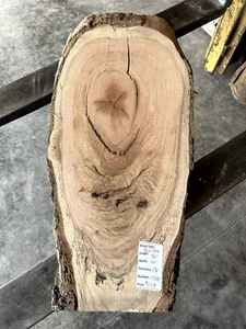 Red Oak Slab #1588, live edge, unfinished, free shipping - Picture 1 of 6