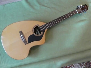 Giannini Vintage Akustik gitarre - Bild 1 von 4
