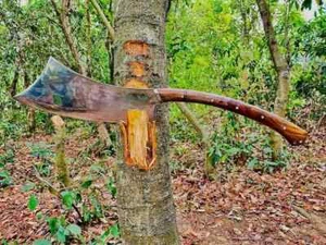 Custom Handmade Carbon Steel Blade Villagers Machete Sword | Hunting 32 inches - Picture 1 of 5