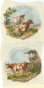 Decals - Set 39 - Einbrenndekore für Keramik / Porzellan - 2 x Kühe / Bauernhof - Bild 1 von 1