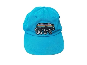 Patagonia Fitz Roy Bear Hat Blue Cap Adjustable Outdoor Hiking - Picture 1 of 8