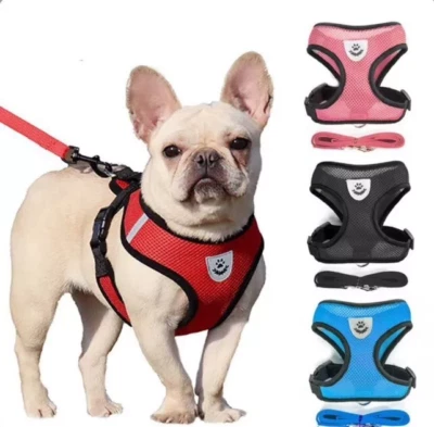 10pcs/lot Wholesale Pet Dog Cat Harness & Leash Adjustable Control Vest Mesh S-L - Image 1 of 4