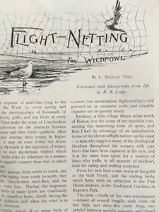 Flight Netting Wildfowl Friskney Boston Lincs Rare 1897 Text R Lodge Photography - Imagen 1 de 3