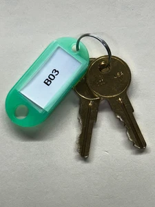 Husky Toolbox Key Replacement Home Depot Cut to Code B03 - Picture 1 of 1