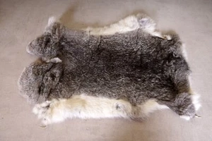 Bellissima pelliccia di coniglio grigia lunghezza: 55 cm Rabbit Fur - Foto 1 di 2