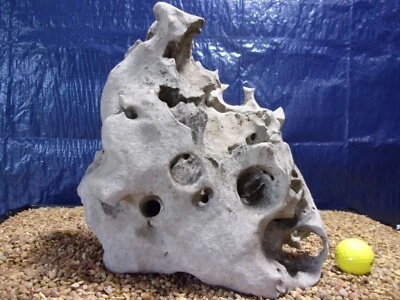 25# Texas/TN Holey Rock 12"x12"x06" acuario reptil panal piedra caliza Foto 1 de 4