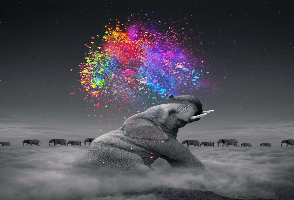 Elephant Animal Colourful Paint Splash Large Art Framed Canvas Picture 20x30" - Image 1 of 1