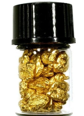 0.500 GRAMS ALASKAN YUKON BC NATURAL PURE GOLD NUGGETS #6 MESH W BOTTLE (#BG600) - Image 1 of 4