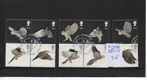 GB Commems, - 2003 - (BL75) Birds of Prey - Juego completo - usado - DIVIDIDO - Imagen 1 de 1