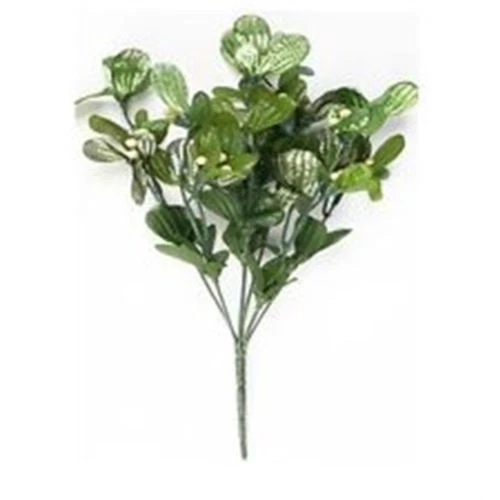 Mistletoe