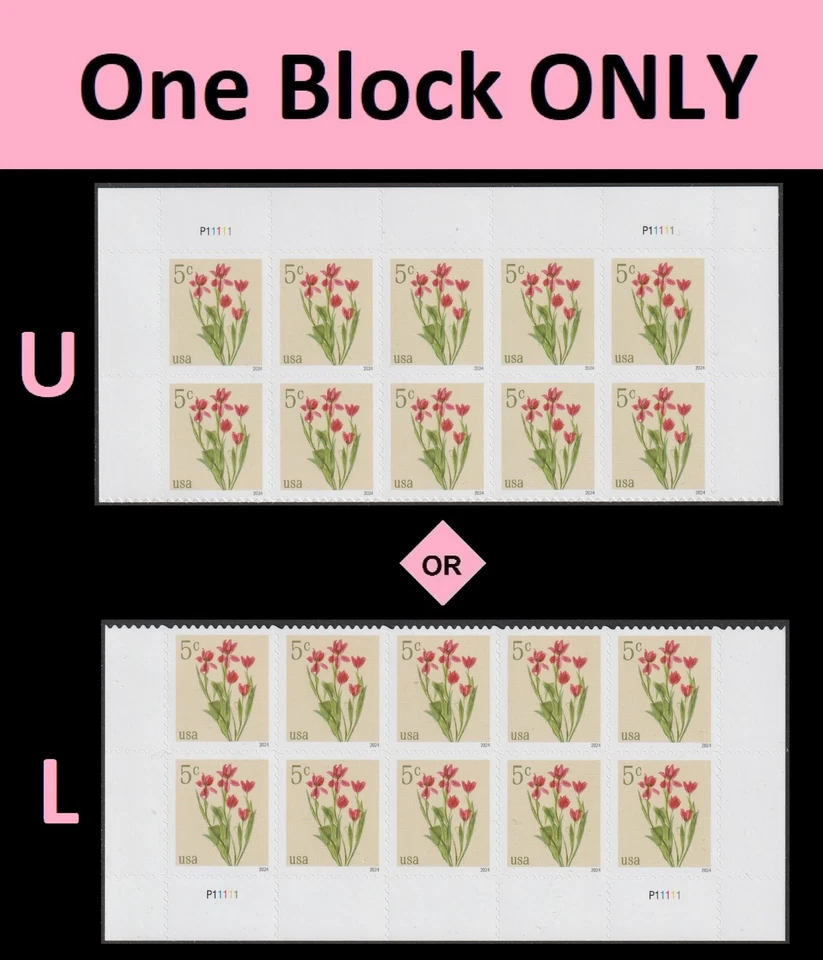 US 5900 Flowers Red Tulips 5c plate block 10 MNH 2024 - Image 1 of 1