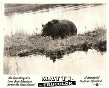Matti Original Lobby Card A Lone Boy's Arctic Adventure Grizzly Bear Hunting 