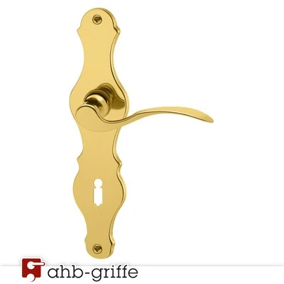 Türdrücker Aktion SN BB Messing poliert Türgriff Türbeschlag Drückergarnitur - Bild 1 von 2