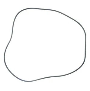 Poolweb #U9165 Sta-Rite 24 Inch O-Ring - Picture 1 of 2