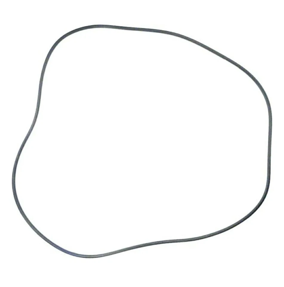 Poolweb #U9165 Sta-Rite 24 Inch O-Ring - Image 1 of 2